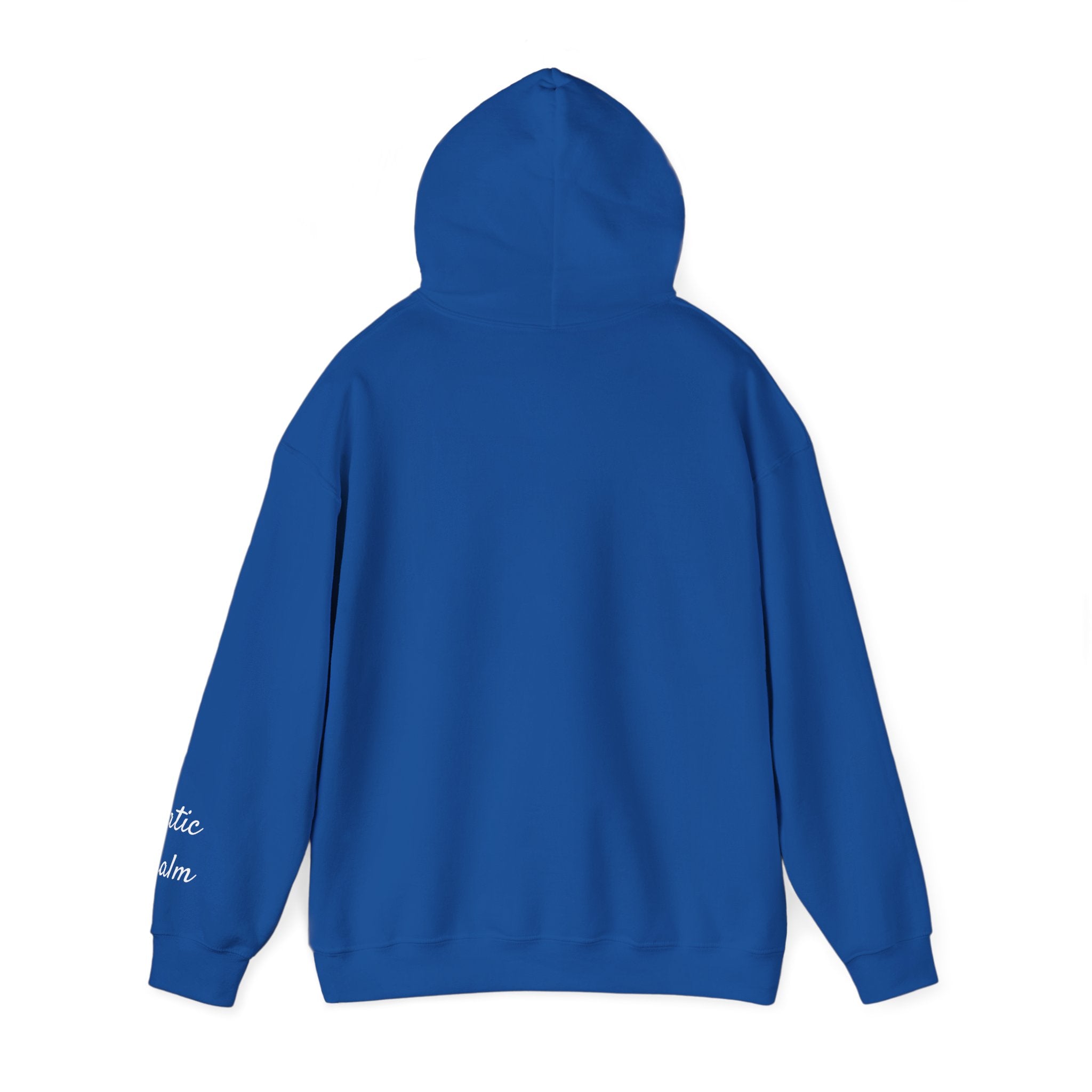 Glitchy Hoodie