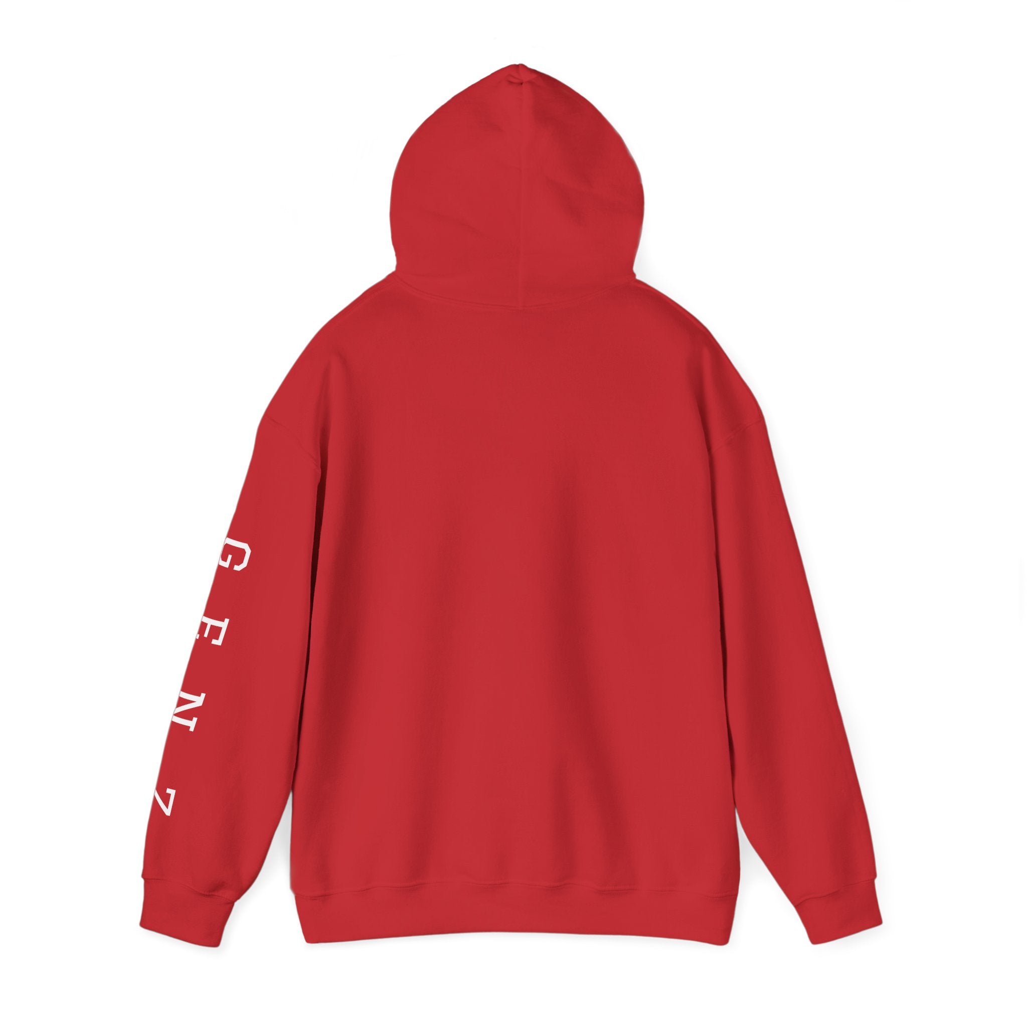 RIZZ hoodie